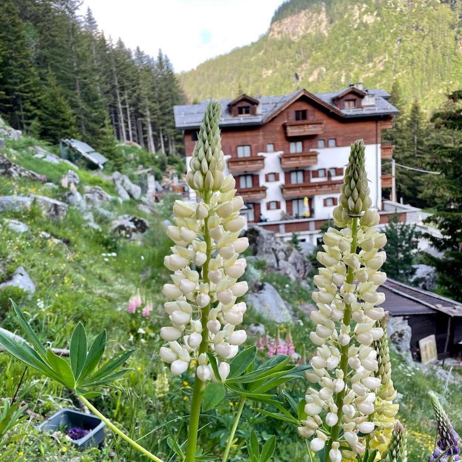 Hotel Gembro Chiesa in Valmalenco Exterior foto